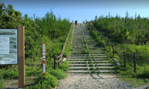 中田島凧場サーフポイント